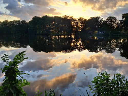 Um den Mühlenteich