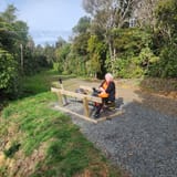 Wairoa Loop Track and Suspension Bridge Track, Auckland, New Zealand ...