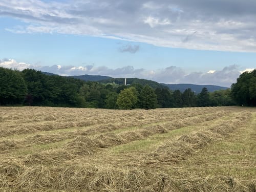 Bielefeld Rundeweg durch den Teutoburgerwald