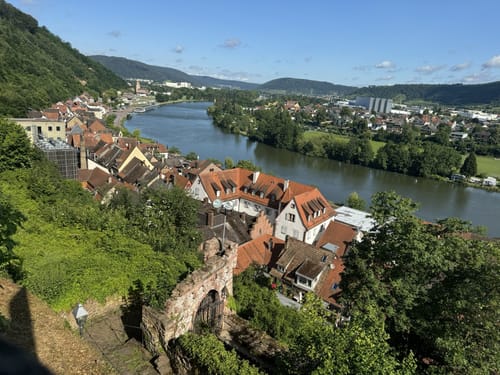 Miltenberg: Mildenburg - Stadtpark
