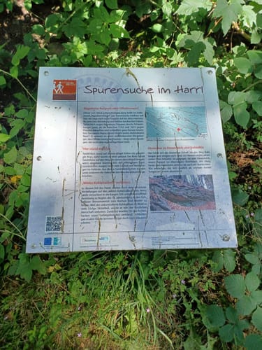 Wandern im Harrl H 1