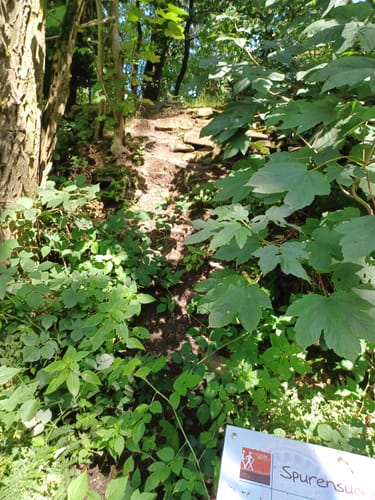 Wandern im Harrl H 1