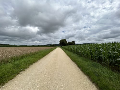 Tour 11 (Neuburg an der Kammel)