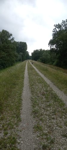 Kleine Runde durch die Isarmündung