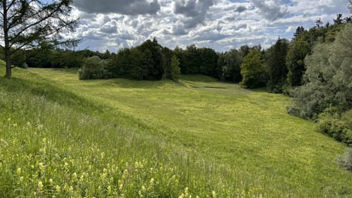 Aubinger Lohe und Moosschwaige