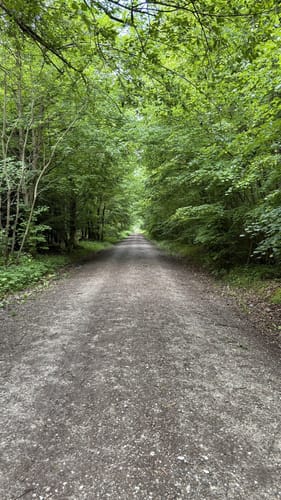 Aubinger Lohe und Moosschwaige
