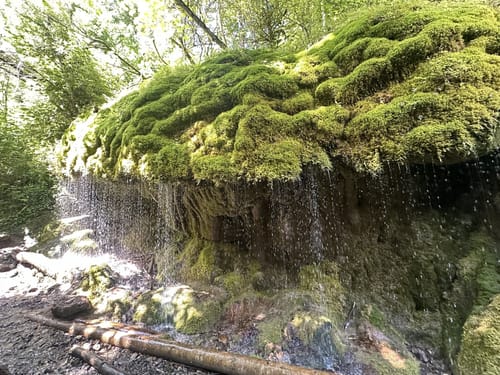 Wutachschlucht Rundweg