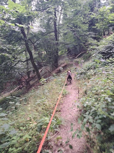 Donnersberg Wildensteinertal
