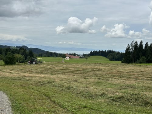 Lindenberg und Kinberg Runde