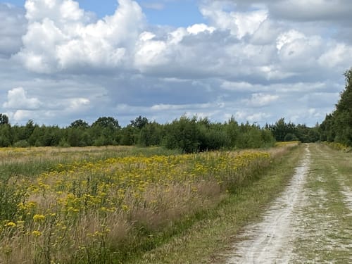 Bargerveen Noord
