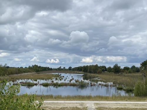 Bargerveen Noord