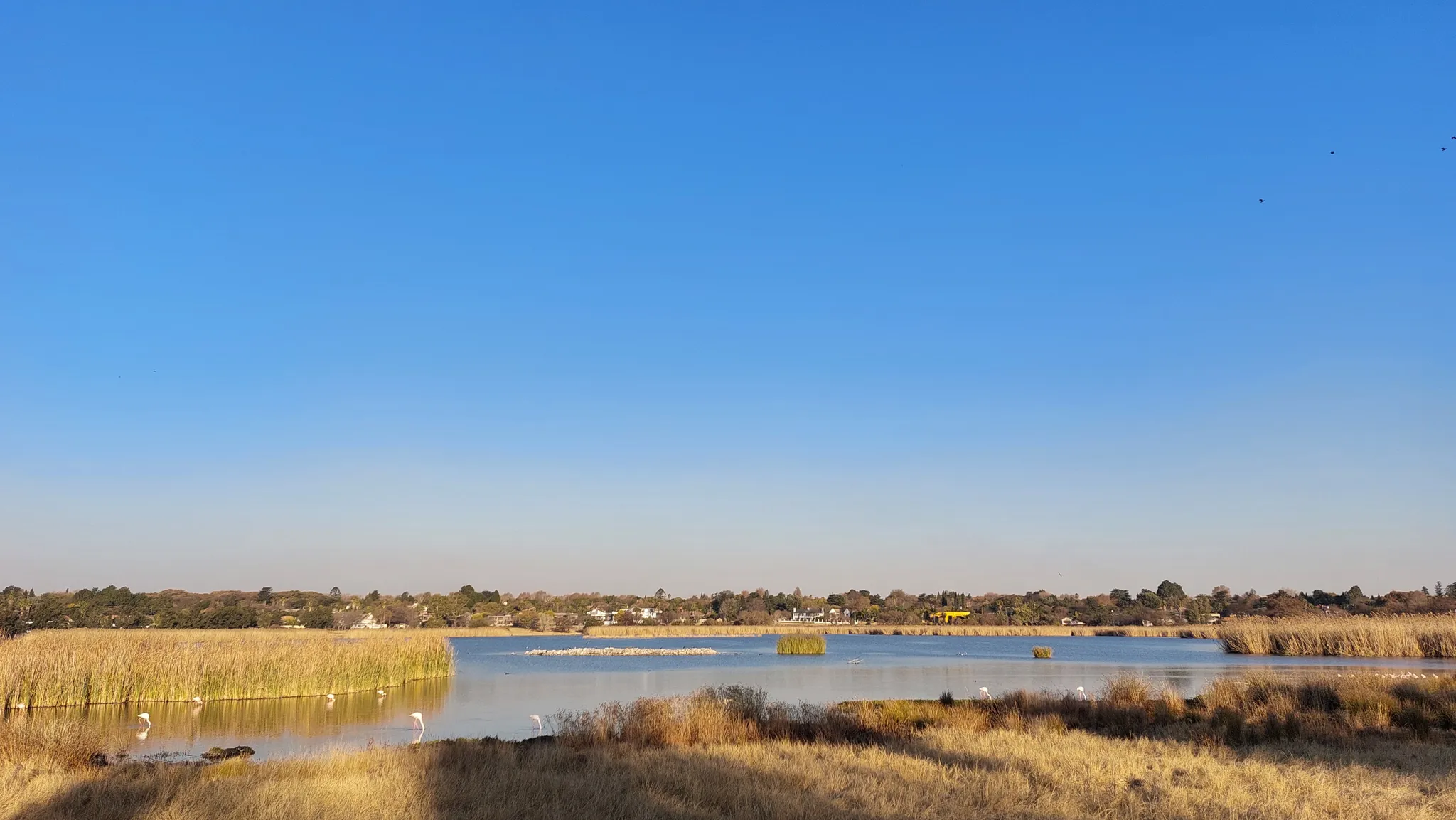 Photo of a trail from Khalid Wadee with title Korsman Bird Sanctuary Loop