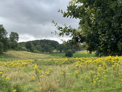 Ostsee Schabeutz Radrundwanderweg B