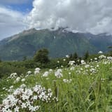 Bird Ridge Trail, Alaska - 1,149 Reviews, Map | AllTrails
