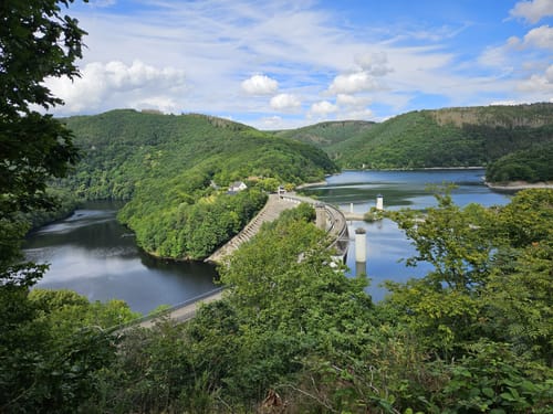 Bird Watching Runde: Von Vogelsang über die Urftseebrücke