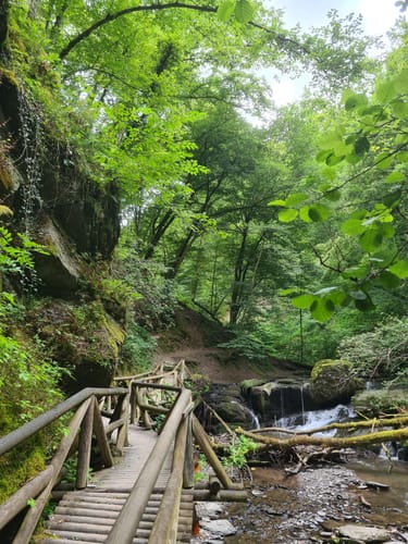 Ehrbachklamm (Traumschleife)