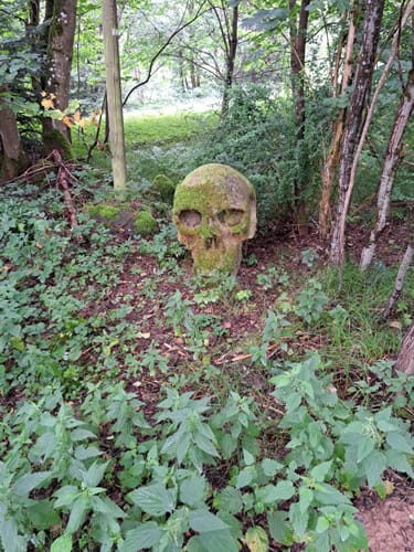 Rund um Neunßberg