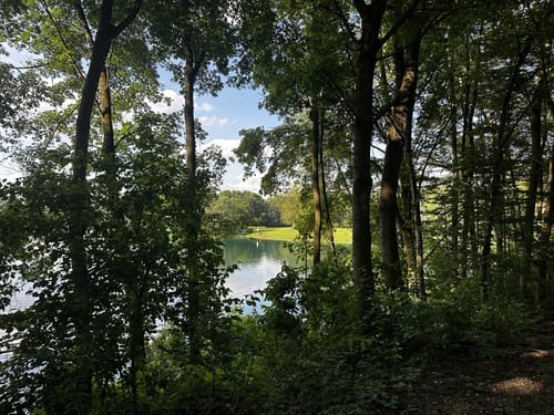 Zu den Mühlseen