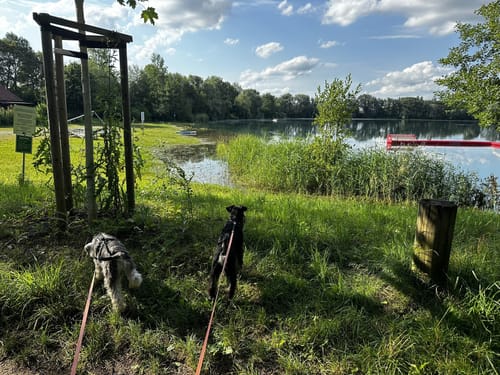 Zu den Mühlseen