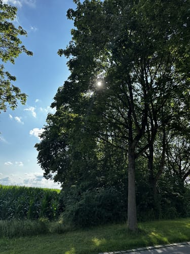 Zu den Mühlseen