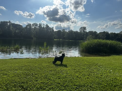Zu den Mühlseen