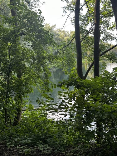 Zu den Mühlseen