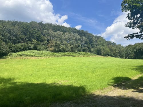 Elfringhauser Schweiz