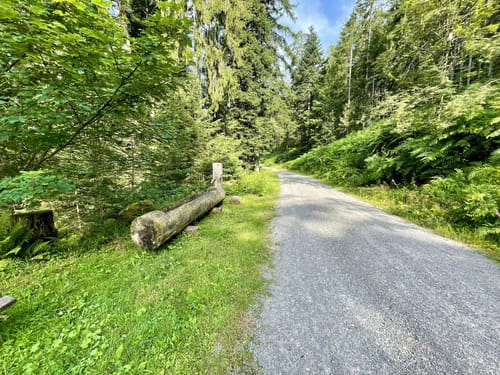 Zum Sankenbachwasserfall