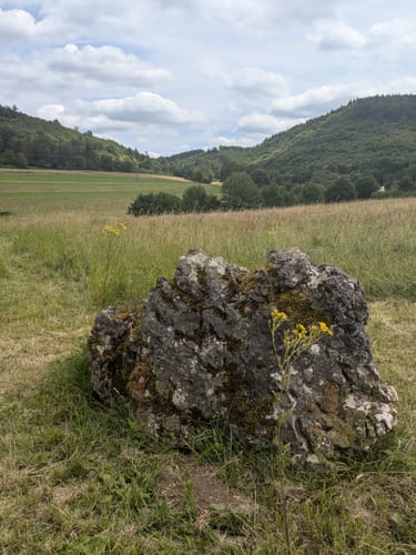 Von Römerkeller zum Kahlenbühl