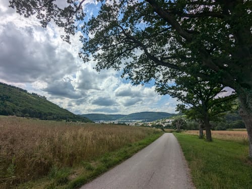 Von Römerkeller zum Kahlenbühl