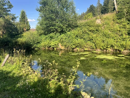 Von Lauterbad durchs Lautertal