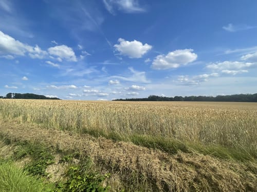 Patensteig