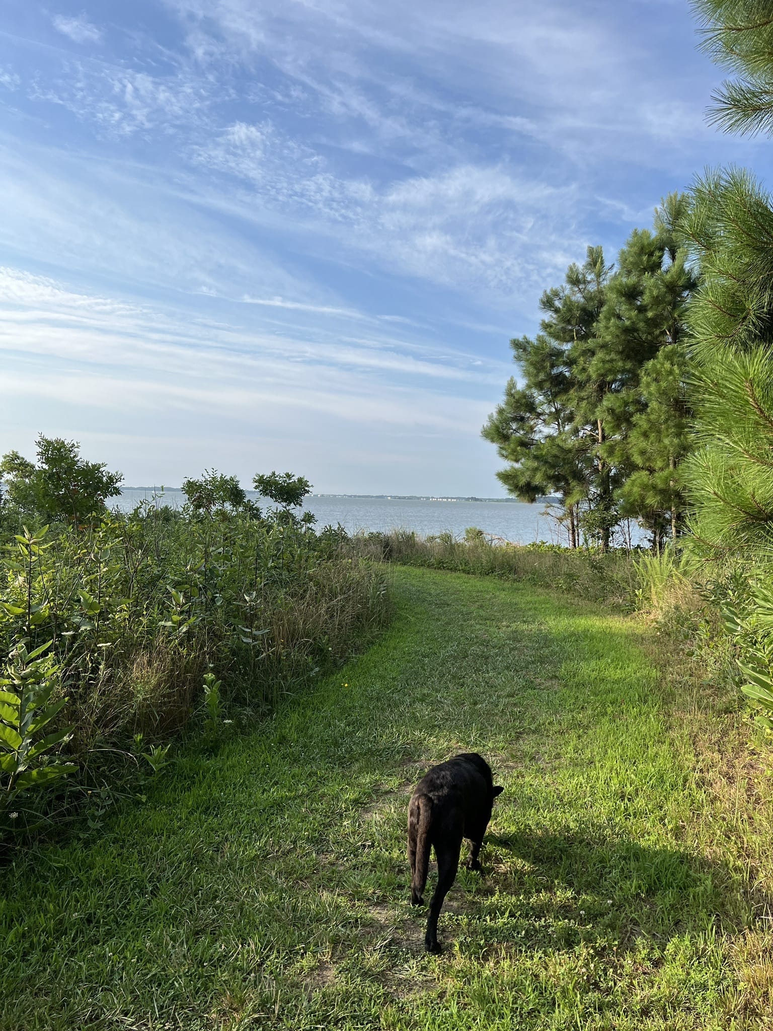 Marian r. okie memorial wildlife preserve