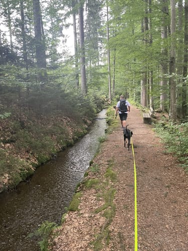 Ochseneben Trail