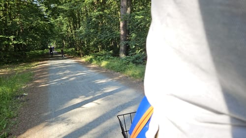 Terrainkurweg Waldweg