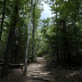 Gorge Overlook and Woodland Trails, Tennessee - 2,747 Reviews, Map ...