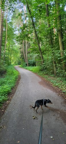 Um den See am Kleihügel