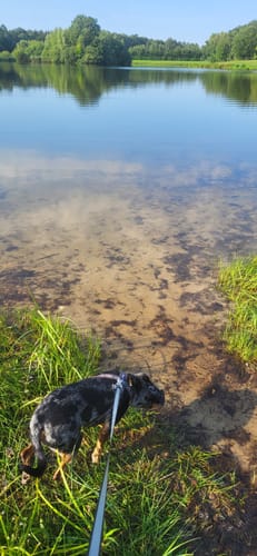 Um den See am Kleihügel