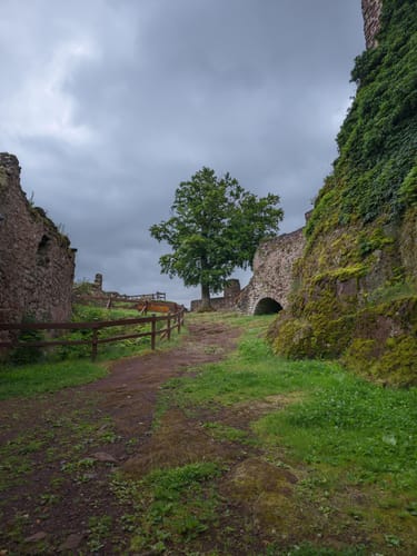 Zur Neustädter Talsperre und der Ruine Hohnstein