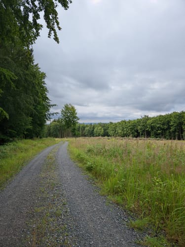 Zur Neustädter Talsperre und der Ruine Hohnstein