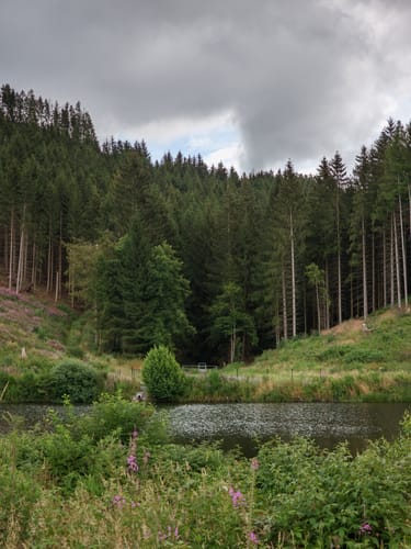Zur Neustädter Talsperre und der Ruine Hohnstein