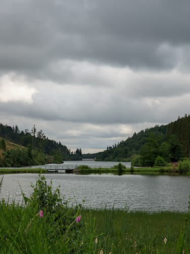 Zur Neustädter Talsperre und der Ruine Hohnstein