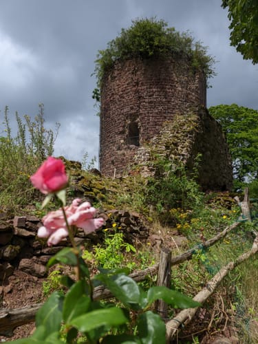 Zur Neustädter Talsperre und der Ruine Hohnstein