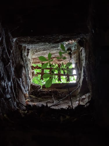 Zur Neustädter Talsperre und der Ruine Hohnstein