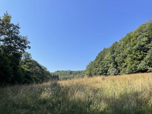 Saar-Hunsrück-Steig Etappe 13: Idar-Oberstein - Herrstein