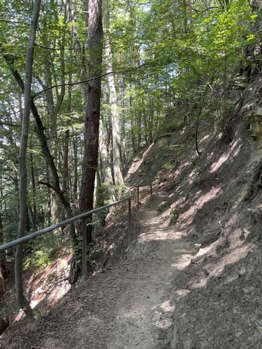 Zu den Heidenhöhlen und über Burgtal