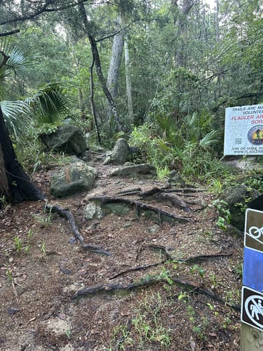 Photos of Mala Compra Mountain Bike Trail Florida AllTrails