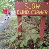 Lake Accotink Trail, Virginia - 2,815 Reviews, Map | AllTrails
