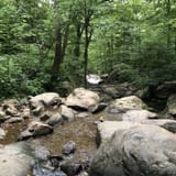 Dark Hollow Falls Trail Virginia - EyJidWNrZXQiOiJhc3NldHMuYWxsdHJhaWxzLmNvbSIsImtleSI6InVwbG9hZHMvcGhvdG8vaW1hZ2UvNzkzMDYzMjkvMjRmNjRkYTJjMzJkY2NhNzRlODFkOThiZTBiMWNkYzQuanBnIiwiZWRpdHMiOnsidG9Gb3JtYXQiOiJqcGVnIiwicmVzaXplIjp7IndpZHRoIjoxNjAsImhlaWdodCI6MTYwLCJmaXQiOiJjb3ZlciJ9LCJyb3RhdGUiOm51bGwsImpwZWciOnsidHJlbGxpc1F1YW50aXNhdGlvbiI6dHJ1ZSwib3ZlcnNob290RGVyaW5naW5nIjp0cnVlLCJvcHRpbWlzZVNjYW5zIjp0cnVlLCJxdWFudGlzYXRpb25UYWJsZSI6M319fQ==