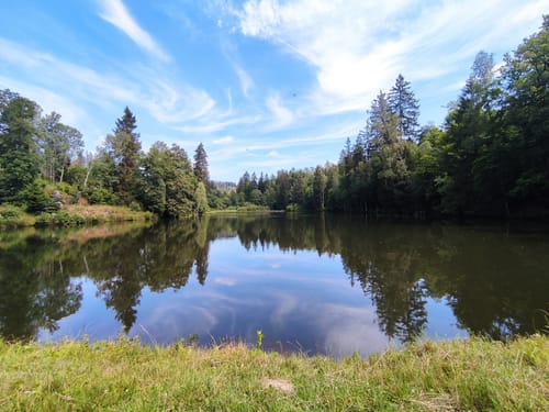 Um den Neuen Teich